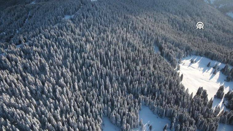 Ilgaz Dağı'nda kartpostallık görüntüler - Resim: 11